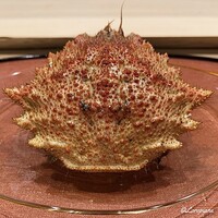 御料理 寺沢 - 栗蟹