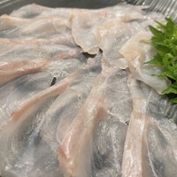 おやじ最後の握り 心斎橋店 - クエの薄造り♪