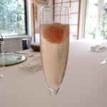 ヌキテパ - スイカシャンパン