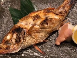 Shutei Akasaka Kanesaku - のど黒塩焼き