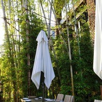 Terrace Dining TANGO - 