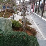 珈琲庵 珈集 - 庭園