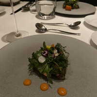 ARMONICO - 