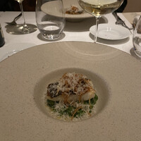 ARMONICO - 