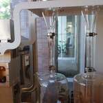 バニラビーンズ - 