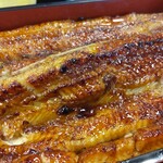 Unagi Kinsui - 