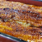 Unagi Kinsui - 