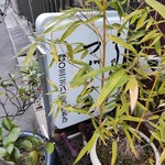 活鰻の店 つぐみ庵 - 