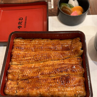 入谷鬼子母神門前のだや - 
