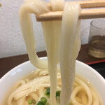 Sanuki Udon Habaya - 表面モチっと コシというかヒキが強い麺！