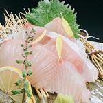 Amberjack sashimi