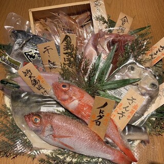 鮨屋のうおきん 銀座店