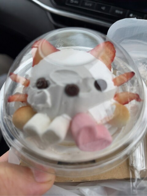 口コミ一覧 : きまぐれキッチンの写真