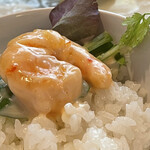 中国料理 竜苑 - 