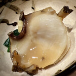 温石 - メガイです。デカい