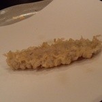 美かさ - シャコ