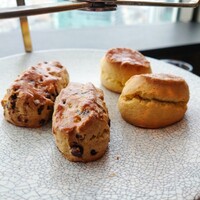 タワーズバー ベロビスト - チョコチップ＆プレーンスコーン