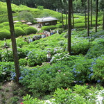 花の茶屋 - 