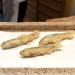 日本橋 蕎ノ字 - 本日の地魚 2 本もろこ