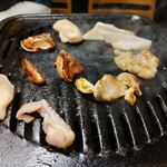 Tori Semmon Ten Yamadori - 焼き鶏12種類