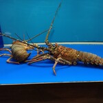 焼肉・鉄板焼ステーキ 橘通りミヤチクAPAS - 水槽