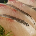 出羽鮨 - シマアジ。