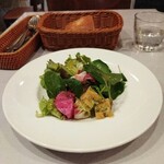 アンティカ オステリア カルネヤ - サラダ