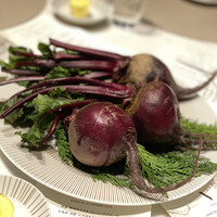 スガラボヴィー - 