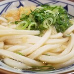 丸亀製麺 - 麺の表情など。