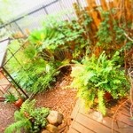 アーヴィング プレイス - 