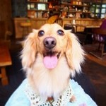 アーヴィング プレイス - 