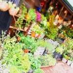 アーヴィング プレイス - 