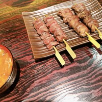 鳥ばか一代 - 