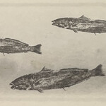 一期一会 よねさん - 