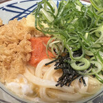 Marugame Seimen - 明太釜玉うどん(並） 530円