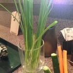 竹笛 - 浅葱、キュウリ、ニンジン、ダイコンのスティック