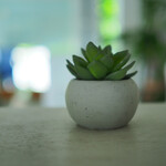 ナス・ショウゾウ カフェ - 