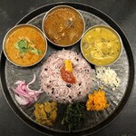 Curry Spice Gelateria KALPASI - 