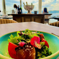 THE HARBOR TERRACE Restaurant - 