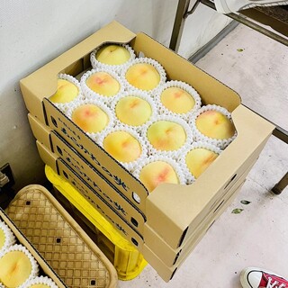 桃山特産センター_0