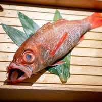 のどぐろ専門 銀座 中俣 - 立派なのどぐろ♡