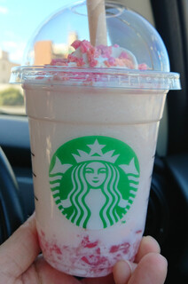 STARBUCKS - 