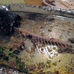 イルゴローソ - 最後はここまでになりました。