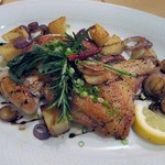 イルゴローソ - 若鶏ときの子　オリーブ入り狩人風トマト煮込み