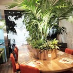 Botanical Garden SARU CAFE - 