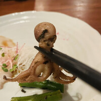 魚China YO - イイダコ