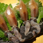 (From Toyama Bay) Live firefly squid sashimi