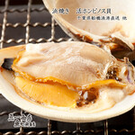 Live Honbinosu shellfish