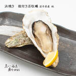 live Oyster in shell