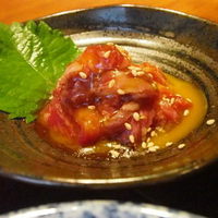金舌 白金 - 